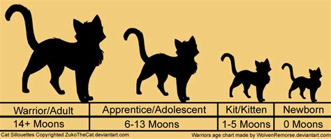 Warrior cats age chart - Warriors has a few oddly large age differences (Pinestar and Leopardfoot, where Pinestar was the leader when Leopardkit was born, and Willowpelt and Tawnyspots, where Tawnyspots was a sickly elder when Willowpaw was an apprentice), but mostly sticks to normal (for cats) age gaps, and portrays the relationships well (I know Thornclaw’s …